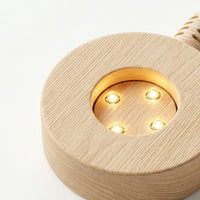 Pure Vibe™ Hanuman Ji Sacred 3D Lamp